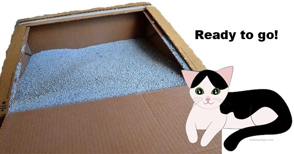 Tidy Cats Direct Ready to Go