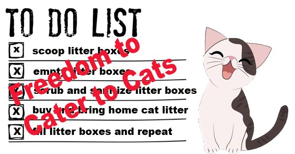 to do list with Tidy Direct