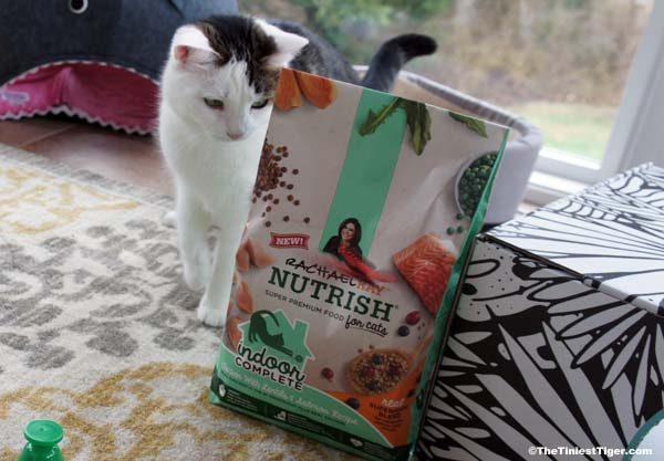 Annie with Nutrish Indoor Cat