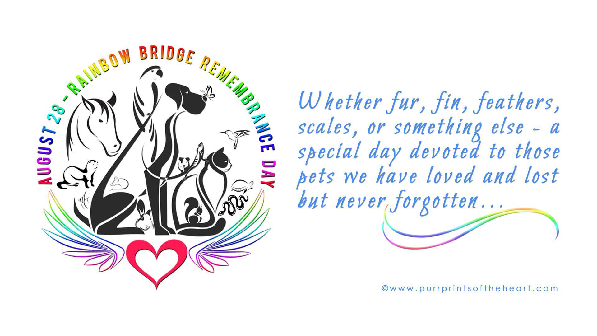 We Remember on Rainbow Bridge Remembrance Day The Tiniest Tiger