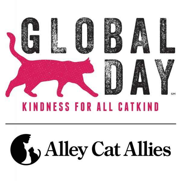 Alley Cat Allies Global Cat Day