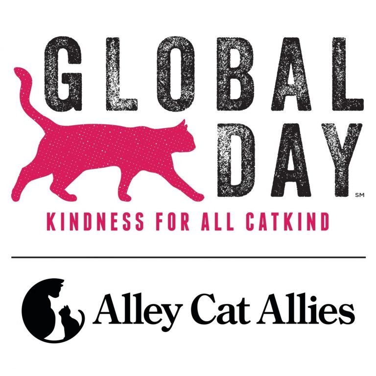 alley cat allies calendar