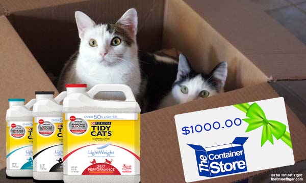 Tidy Cats Contain Yourself $1000 Gift Card Giveaway
