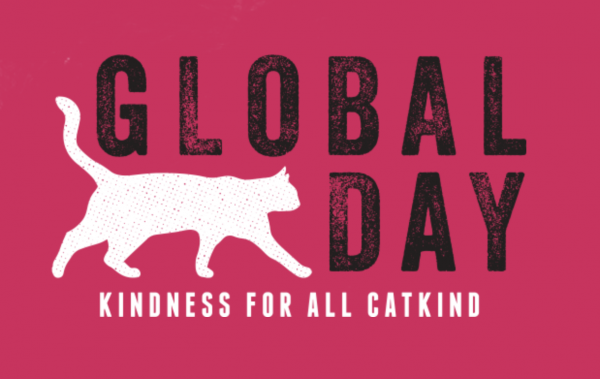 Global Cat Day Image