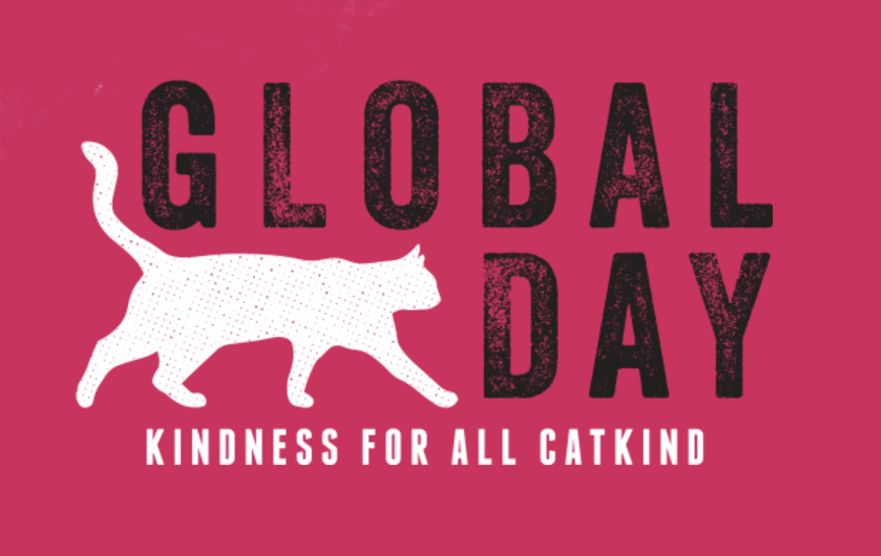 Kindness For All CatKind  #GlobalCatDay