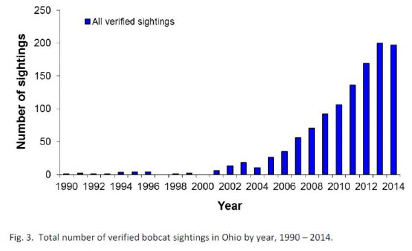 Endangered bobcat population increasing in NJ