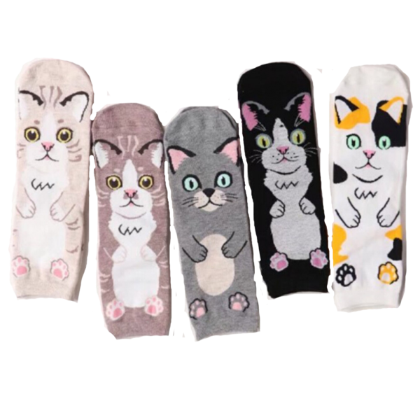 Triple T Studios Cat Hug Socks