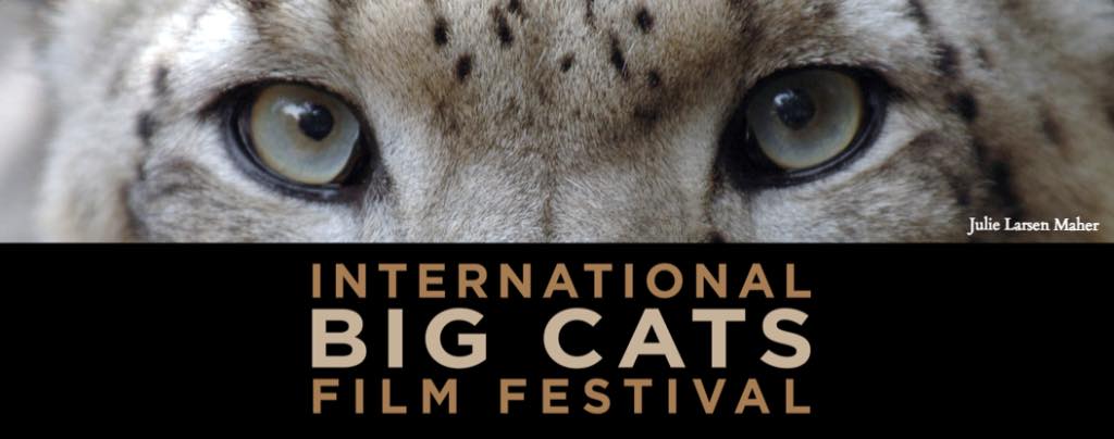International Big Cats Film Festival