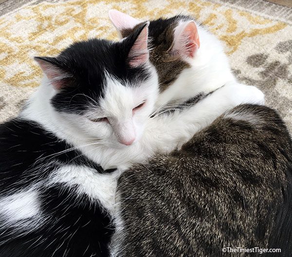 Annie and Eddie hugging