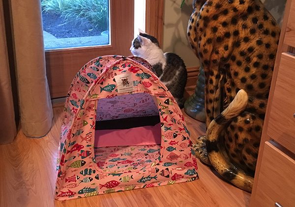 Triple T Studios Cat Tent