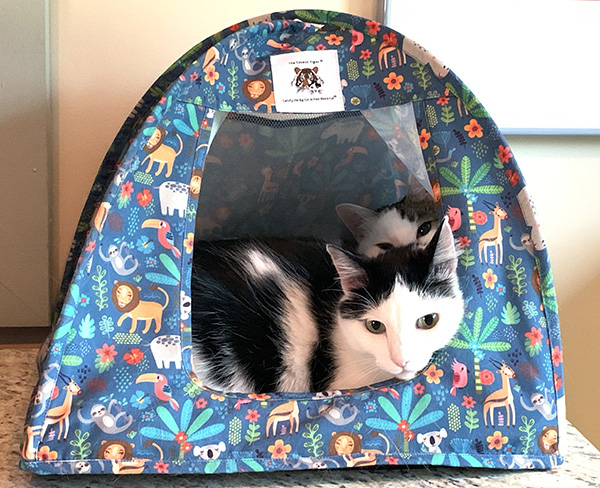 New! Wild Safari Cat Tent Giveaway