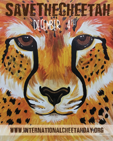 Save the Cheetah  December 4