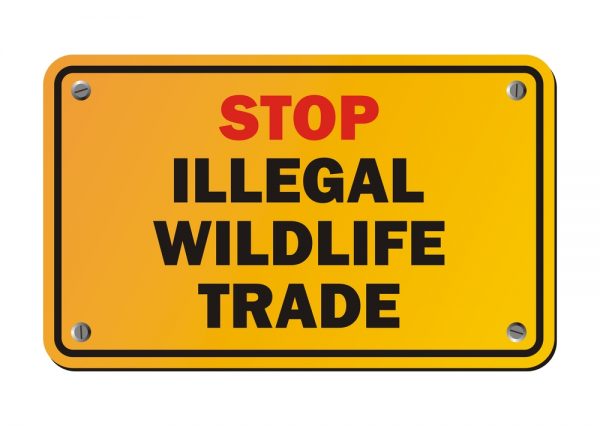 Stop illegal trade