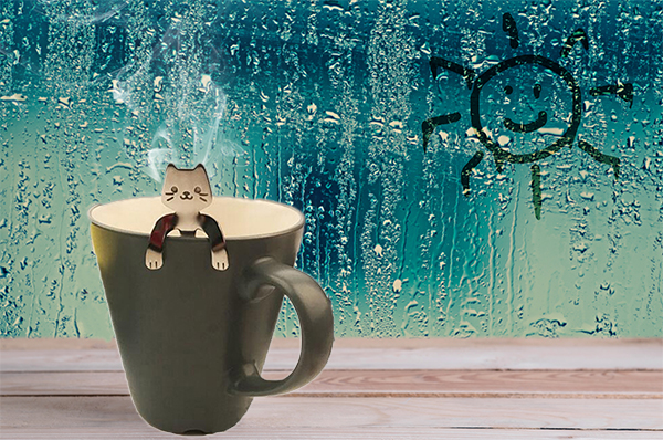 Cat Spoon Triple T Studios
