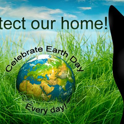 Connect With Cats!  Celebrate Earth Day!