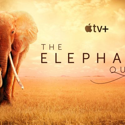 World Elephant Day! Watch The Elephant Queen