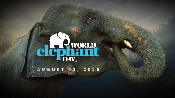 World Elephant Day