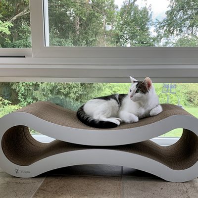 New Cat Scratchers for the Sunroom