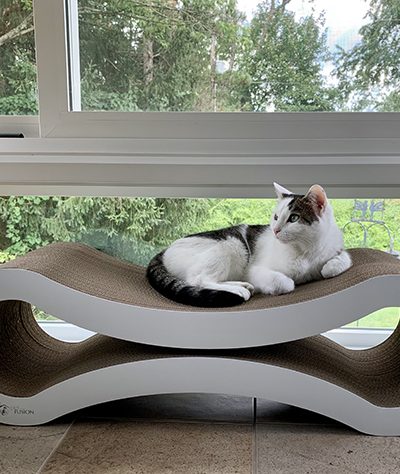 Annie on new cat scratcher