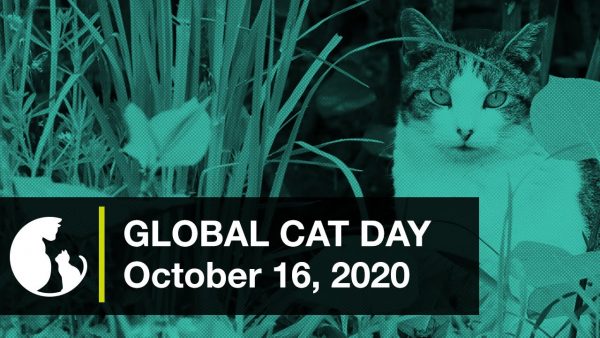 Global Cat Day