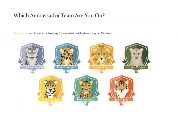 Panthera Ambassador Team Quiz