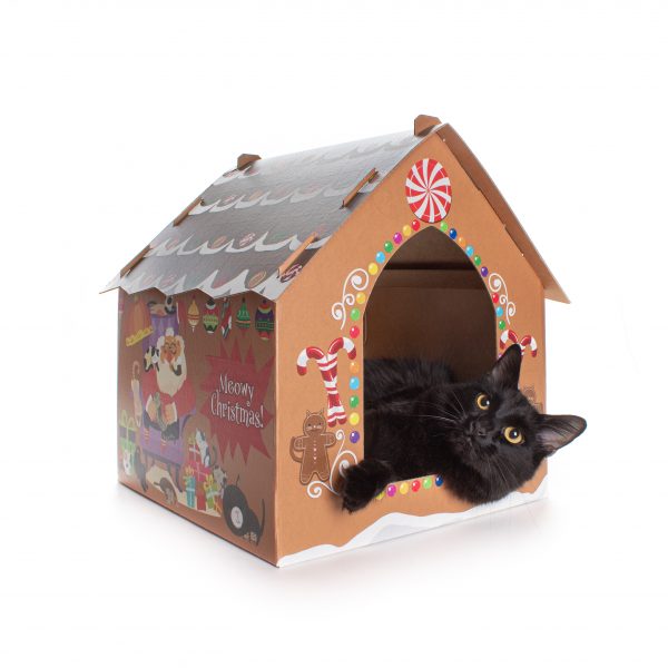 Cat in Cardboard Cat house