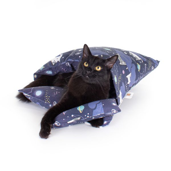 Black cat in sleeping bag