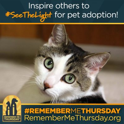 See the Light for Pet Adoption. Remember Me Thursday