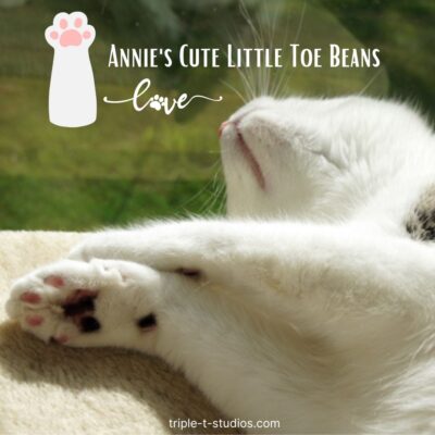 What are Cat Toe Beans?
