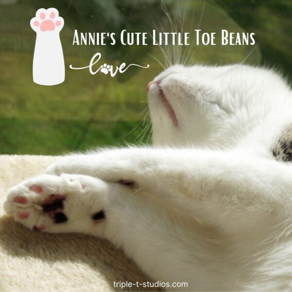 Annie's cute little toe beans
