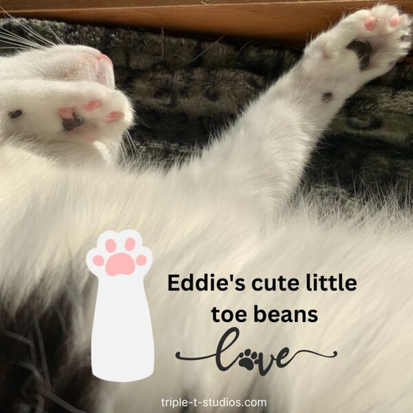 Eddie's Cute Little Toe Beans