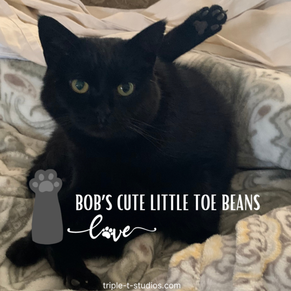 Bob's black toe beans