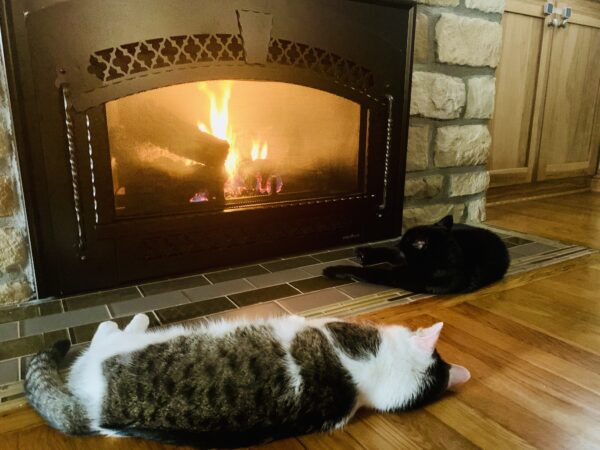 Annie and Bob in front of the fire