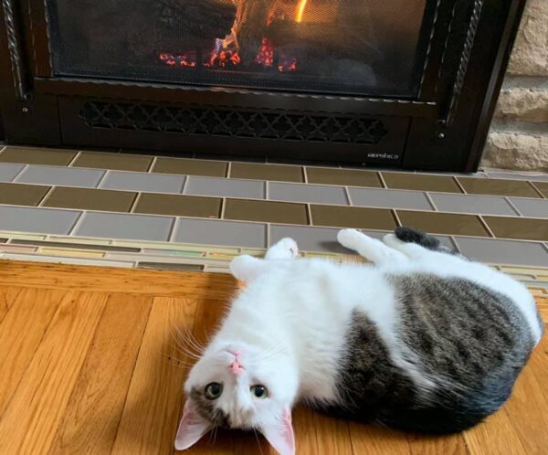 Annie asking for fireplace to stay on