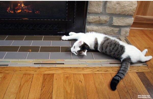 Annie in front of fireplace