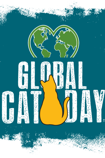 Global Cat Day. Alley Cat Allies