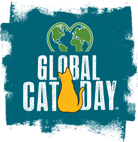 Global Cat Day. Alley Cat Allies