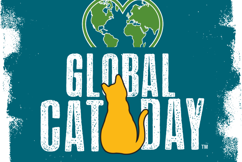 Global Cat Day. Alley Cat Allies