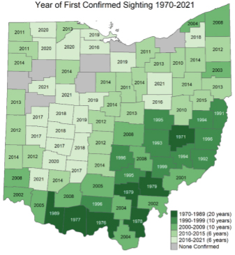 Ohio Bobcat sightings