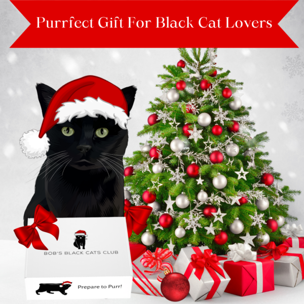 Black Cats Club Giveaway