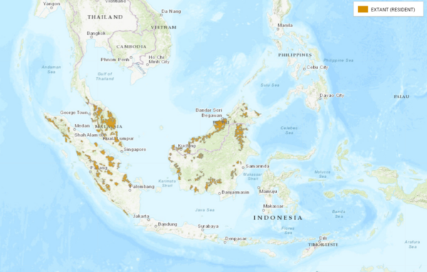 Flat-Headed Cat Geographic Range