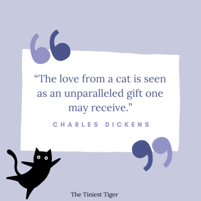 Cat Quotes For Cat Lovers