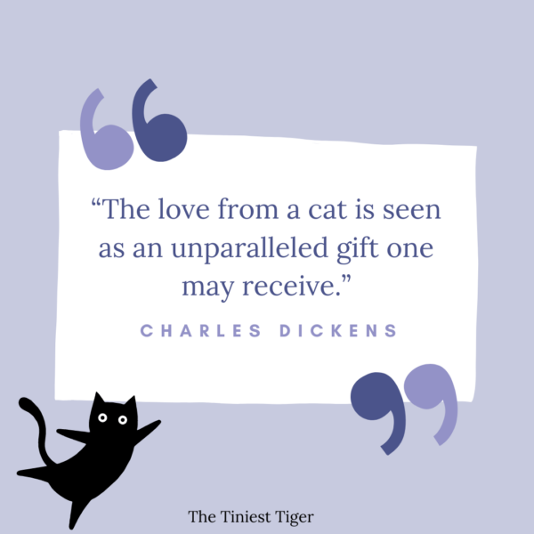 Cat Quote. Charles Dickens