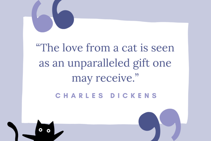 Cat Quote. Charles Dickens