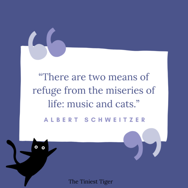 Albert Schweitzer 