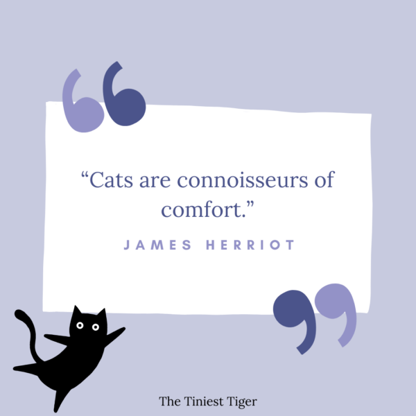 James Herriot quote