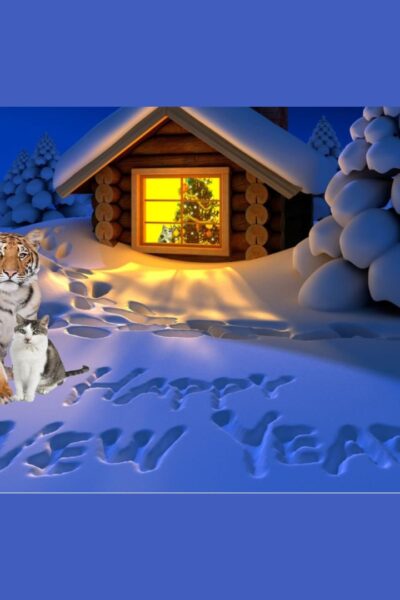 New Year with cats