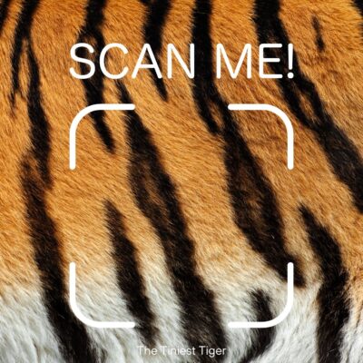 Tiger Stripe Identification