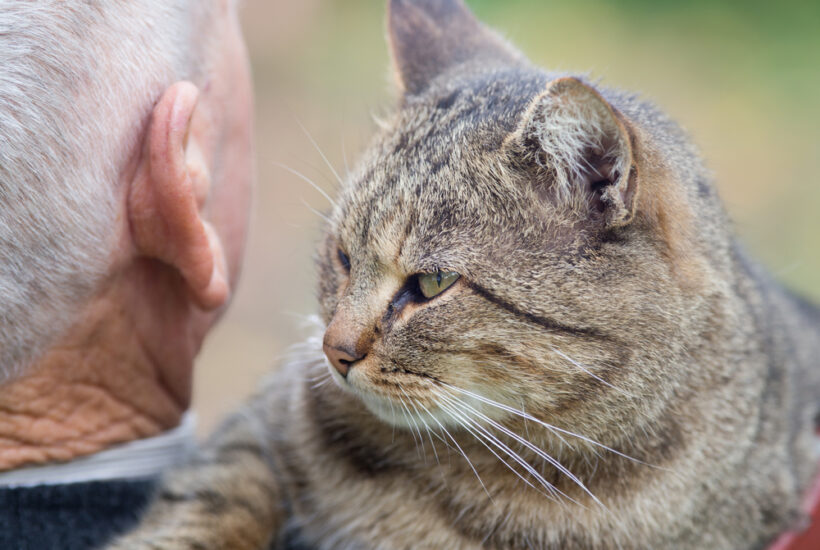 fostering cats reduces loneliness in older adults