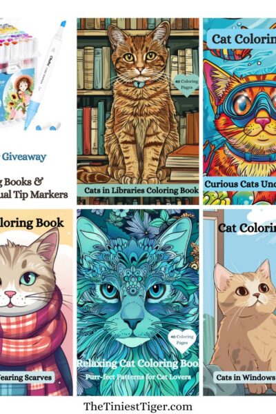 Cat Lovers Coloring Book Giveaway